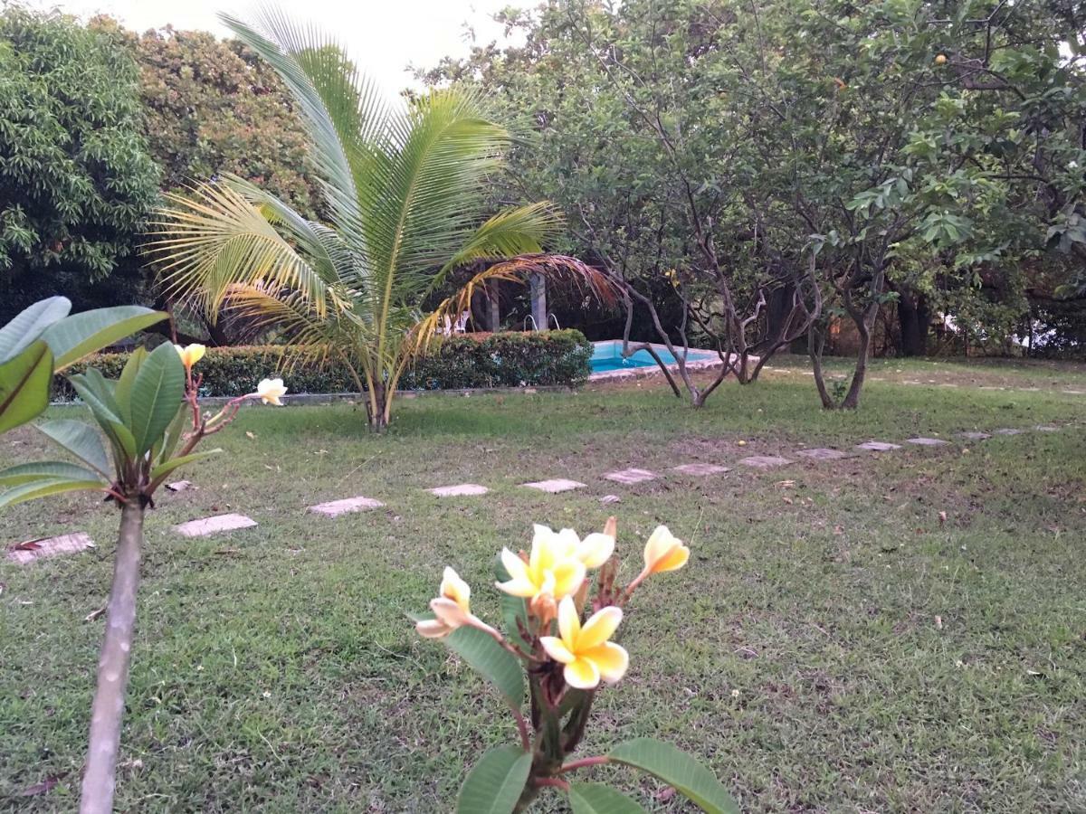 Native House With Beautiful Pool Bagac Exterior foto